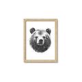 Picture of Bear Sketch _GroupedProduct_Rectangle_Portrait_Framed_Matted_