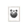 Picture of Bear Sketch _GroupedProduct_Rectangle_Portrait_Framed_Matted_