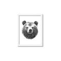 Picture of Bear Sketch _GroupedProduct_Rectangle_Portrait_Framed_Matted_