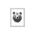 Picture of Bear Sketch _GroupedProduct_Rectangle_Portrait_Framed_Matted_