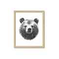 Picture of Bear Sketch _GroupedProduct_Rectangle_Portrait_Framed_Matted_