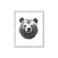 Picture of Bear Sketch _GroupedProduct_Rectangle_Portrait_Framed_Matted_