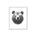 Picture of Bear Sketch _GroupedProduct_Rectangle_Portrait_Framed_Matted_