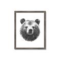 Picture of Bear Sketch _GroupedProduct_Rectangle_Portrait_Framed_Matted_