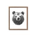 Picture of Bear Sketch _GroupedProduct_Rectangle_Portrait_Framed_Matted_