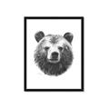 Picture of Bear Sketch _GroupedProduct_Rectangle_Portrait_Framed_Matted_