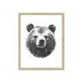 Picture of Bear Sketch _GroupedProduct_Rectangle_Portrait_Framed_Matted_