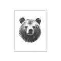 Picture of Bear Sketch _GroupedProduct_Rectangle_Portrait_Framed_Matted_