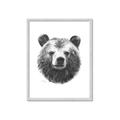 Picture of Bear Sketch _GroupedProduct_Rectangle_Portrait_Framed_Matted_