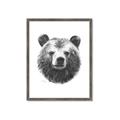 Picture of Bear Sketch _GroupedProduct_Rectangle_Portrait_Framed_Matted_