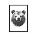 Picture of Bear Sketch _GroupedProduct_Rectangle_Portrait_Framed_Matted_