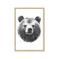 Picture of Bear Sketch _GroupedProduct_Rectangle_Portrait_Framed_Matted_