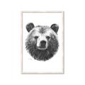 Picture of Bear Sketch _GroupedProduct_Rectangle_Portrait_Framed_Matted_