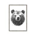 Picture of Bear Sketch _GroupedProduct_Rectangle_Portrait_Framed_Matted_