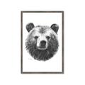 Picture of Bear Sketch _GroupedProduct_Rectangle_Portrait_Framed_Matted_