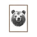 Picture of Bear Sketch _GroupedProduct_Rectangle_Portrait_Framed_Matted_