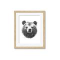 Picture of Bear Sketch _GroupedProduct_Rectangle_Portrait_Framed_Matted_