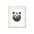 Picture of Bear Sketch _GroupedProduct_Rectangle_Portrait_Framed_Matted_
