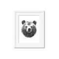 Picture of Bear Sketch _GroupedProduct_Rectangle_Portrait_Framed_Matted_