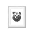 Picture of Bear Sketch _GroupedProduct_Rectangle_Portrait_Framed_Matted_