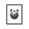 Picture of Bear Sketch _GroupedProduct_Rectangle_Portrait_Framed_Matted_