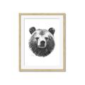 Picture of Bear Sketch _GroupedProduct_Rectangle_Portrait_Framed_Matted_