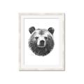 Picture of Bear Sketch _GroupedProduct_Rectangle_Portrait_Framed_Matted_