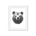 Picture of Bear Sketch _GroupedProduct_Rectangle_Portrait_Framed_Matted_