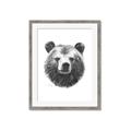 Picture of Bear Sketch _GroupedProduct_Rectangle_Portrait_Framed_Matted_