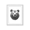 Picture of Bear Sketch _GroupedProduct_Rectangle_Portrait_Framed_Matted_