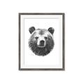 Picture of Bear Sketch _GroupedProduct_Rectangle_Portrait_Framed_Matted_