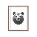 Picture of Bear Sketch _GroupedProduct_Rectangle_Portrait_Framed_Matted_