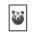 Picture of Bear Sketch _GroupedProduct_Rectangle_Portrait_Framed_Matted_