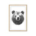 Picture of Bear Sketch _GroupedProduct_Rectangle_Portrait_Framed_Matted_
