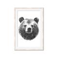Picture of Bear Sketch _GroupedProduct_Rectangle_Portrait_Framed_Matted_