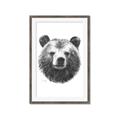 Picture of Bear Sketch _GroupedProduct_Rectangle_Portrait_Framed_Matted_