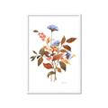 Picture of Violets and reds I _GroupedProduct_Rectangle_Portrait_Framed_Matted_