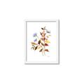 Picture of Violets and reds II _GroupedProduct_Rectangle_Portrait_Framed_Matted_