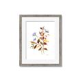 Picture of Violets and reds II _GroupedProduct_Rectangle_Portrait_Framed_Matted_