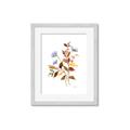 Picture of Violets and reds II _GroupedProduct_Rectangle_Portrait_Framed_Matted_