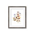 Picture of Violets and reds II _GroupedProduct_Rectangle_Portrait_Framed_Matted_