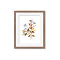 Picture of Violets and reds II _GroupedProduct_Rectangle_Portrait_Framed_Matted_