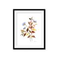 Picture of Violets and reds II _GroupedProduct_Rectangle_Portrait_Framed_Matted_