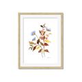 Picture of Violets and reds II _GroupedProduct_Rectangle_Portrait_Framed_Matted_