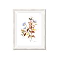 Picture of Violets and reds II _GroupedProduct_Rectangle_Portrait_Framed_Matted_