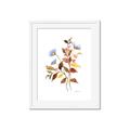 Picture of Violets and reds II _GroupedProduct_Rectangle_Portrait_Framed_Matted_