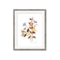 Picture of Violets and reds II _GroupedProduct_Rectangle_Portrait_Framed_Matted_