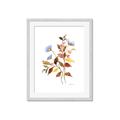 Picture of Violets and reds II _GroupedProduct_Rectangle_Portrait_Framed_Matted_