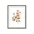 Picture of Violets and reds II _GroupedProduct_Rectangle_Portrait_Framed_Matted_