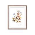 Picture of Violets and reds II _GroupedProduct_Rectangle_Portrait_Framed_Matted_